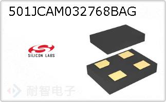 501JCAM032768BAG